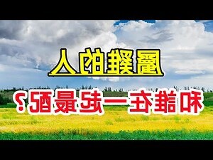 2008 年生肖